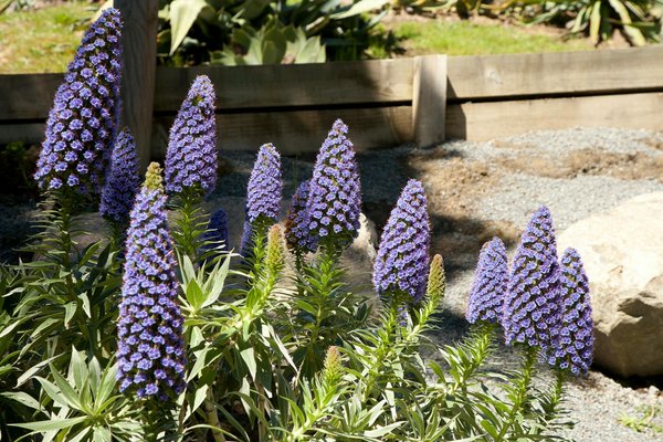 Les avantages et inconvénients de l'hypothèque fixe et variable